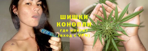PSILOCYBIN Беломорск