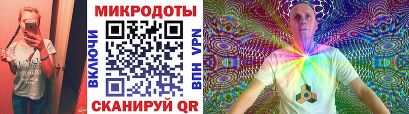 Псилоцибиновые грибы Cubensis  Бологое 