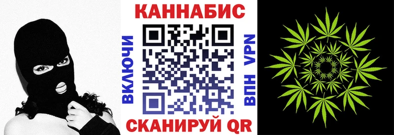 Бошки Шишки планчик Бологое
